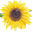 Botanical Interests